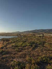 a grassy field by the shore and a cliff with rocks in the ocean in the background