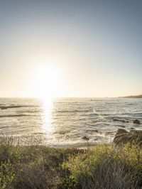 a grassy field by the shore and a cliff with rocks in the ocean in the background