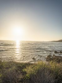 a grassy field by the shore and a cliff with rocks in the ocean in the background