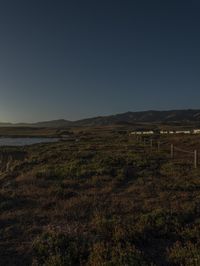 a grassy field by the shore and a cliff with rocks in the ocean in the background