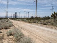 California's Sandy Roads: A Day in the Desert