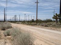 California's Sandy Roads: A Day in the Desert
