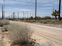 California's Sandy Roads: A Day in the Desert