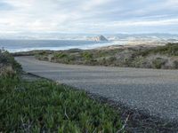 a lone road that runs near the beach next to the ocean shore on an overcast day