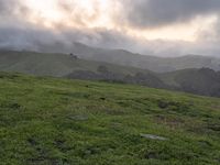 California Scenic Road: Break of Day