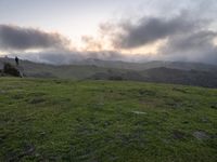 California Scenic Road: Break of Day