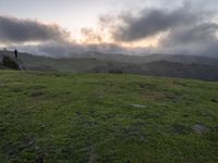 California Scenic Road: Break of Day