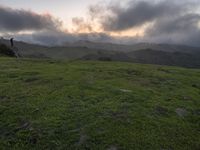 California Scenic Road: Break of Day