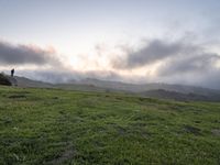 California Scenic Road: Break of Day