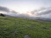 California Scenic Road: Break of Day