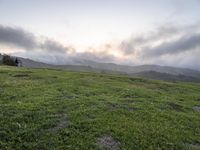 California Scenic Road: Break of Day