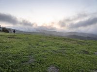 California Scenic Road: Break of Day