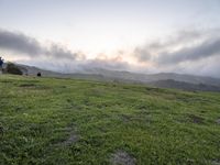 California Scenic Road: Break of Day