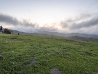 California Scenic Road: Break of Day