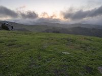 California Scenic Road: Break of Day