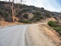 a road with many bushes and trees on top of it and a person walking on the side of a road