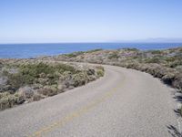 California Scenic Road with Low Headlands and Ocean 002