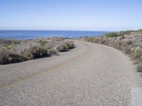 California Scenic Road with Low Headlands Over the Ocean