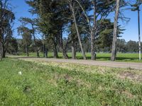 California Scenic Road - Nature Landscape