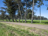 California Scenic Road - Nature Landscape