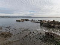 California Sea Views: Nature in San Francisco 001
