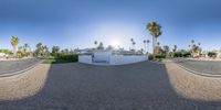 a photograph of a skate park with an artificial structure and palm trees in the background