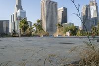 the street is deserted with buildings in the background in the city of skyscrapers in the distance