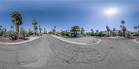 a fish eye lens shows a sunny and quiet street with palm trees and palm trees in the background