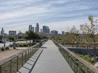 Spring in California: Park, Nature, and Walkway