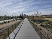 Spring in California: Park, Nature, and Walkway