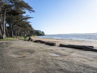 California State Park: Coastal Shoreline and Scenic Views