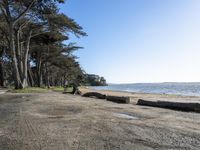 California State Park: Coastal Shoreline and Scenic Views