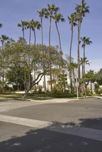 California Suburb: Clear Sky and Urban Design