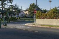 California Suburb at Dawn: A Vibrant Public Space