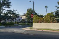 California Suburb at Dawn: A Vibrant Public Space