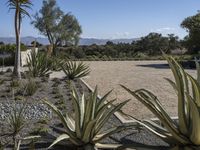 California Suburb: Exploring Rugged Terrain and Abundant Vegetation