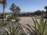 California Suburb: Exploring Rugged Terrain and Abundant Vegetation