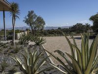 California Suburb: Exploring Rugged Terrain and Abundant Vegetation