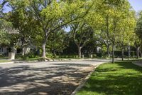 Suburban Architecture in California: Bathed in Sunlight