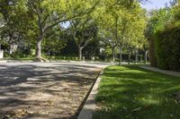 Suburban Architecture in California: Bathed in Sunlight