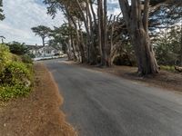 California Suburban Dawn: The Charm of San Francisco