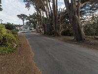 California Suburban Dawn: The Charm of San Francisco