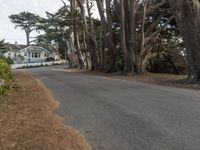 California Suburban Dawn: The Charm of San Francisco