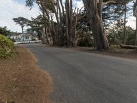 California Suburban Dawn: The Charm of San Francisco
