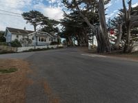 California Suburban Dawn: The Charm of San Francisco