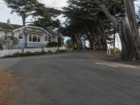 California Suburban Dawn: The Charm of San Francisco