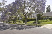 California Suburban Home in a Friendly Neighborhood