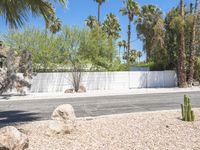 California Suburban Home in Palm Springs