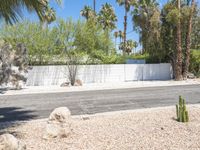 California Suburban Home in Palm Springs - 002