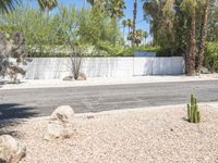 California Suburban Home in Palm Springs